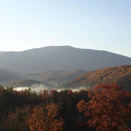 Villa Bear Necessities, Luxury 5Bd Mtn Views, Hot Tub, Many Bear Sightings Gatlinburg Exterior foto