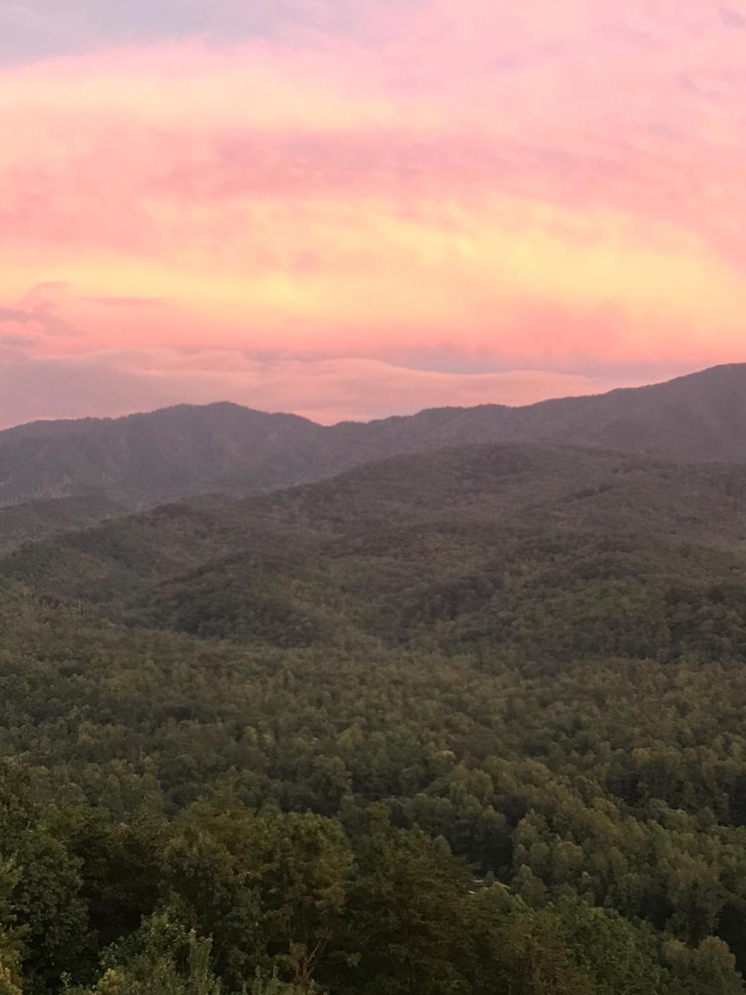 Villa Bear Necessities, Luxury 5Bd Mtn Views, Hot Tub, Many Bear Sightings Gatlinburg Exterior foto