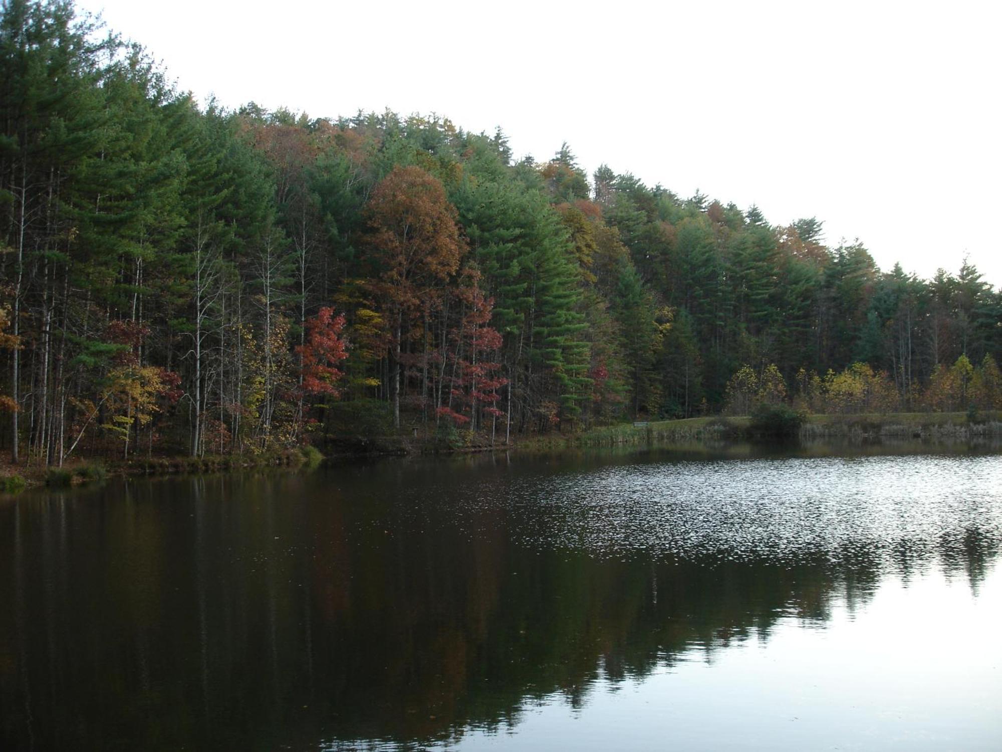 Villa Bear Necessities, Luxury 5Bd Mtn Views, Hot Tub, Many Bear Sightings Gatlinburg Exterior foto