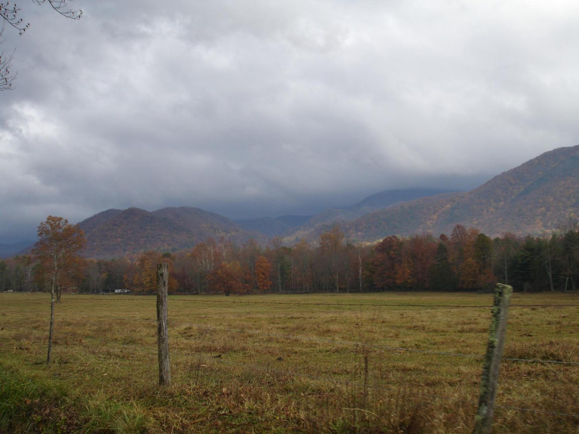 Villa Bear Necessities, Luxury 5Bd Mtn Views, Hot Tub, Many Bear Sightings Gatlinburg Exterior foto