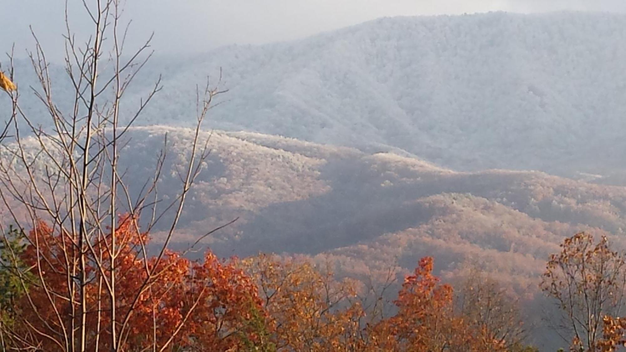Villa Bear Necessities, Luxury 5Bd Mtn Views, Hot Tub, Many Bear Sightings Gatlinburg Exterior foto